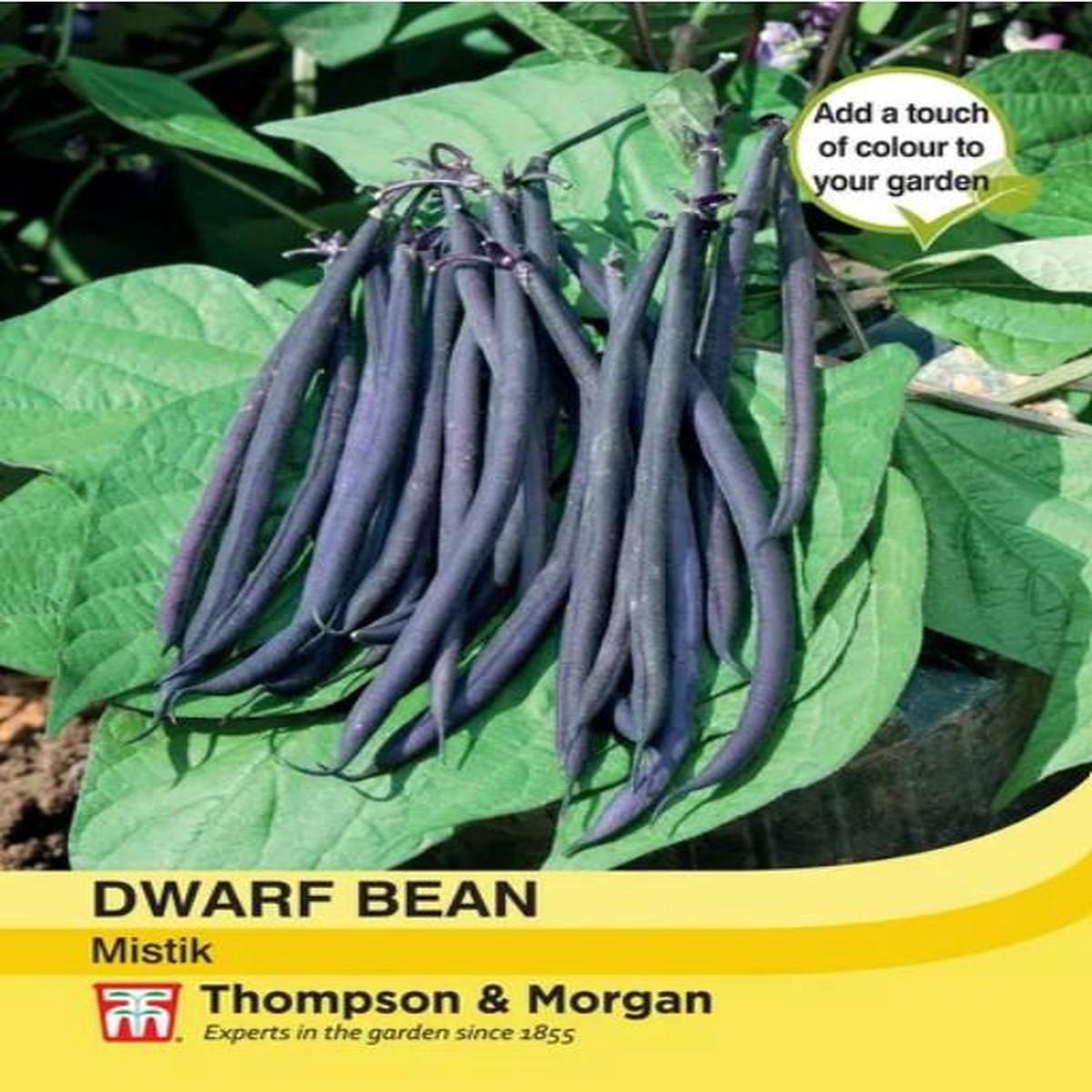 Thompson & Morgan Vegetable Dwarf Bean Mistik - 40 Seeds