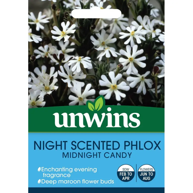 Unwins Night Phlox Midnight Candy 225 Seeds