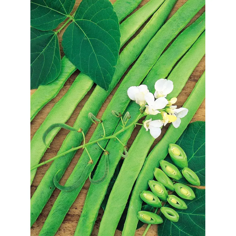 Unwins - Vegetable - Runner Bean White Lady Seeds