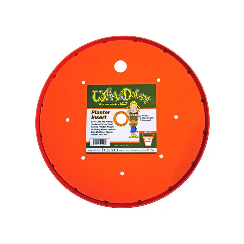 Ups-A-Daisy, 10"