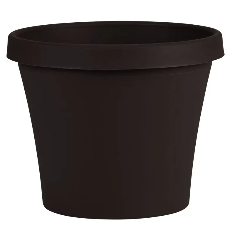 Bloem Terra Plastic Planter, Black, 4 in.