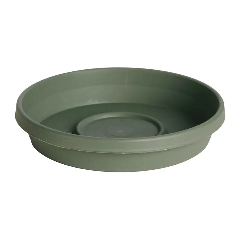 Bloem Terra Plastic Saucer, Living Green, 12 in.
