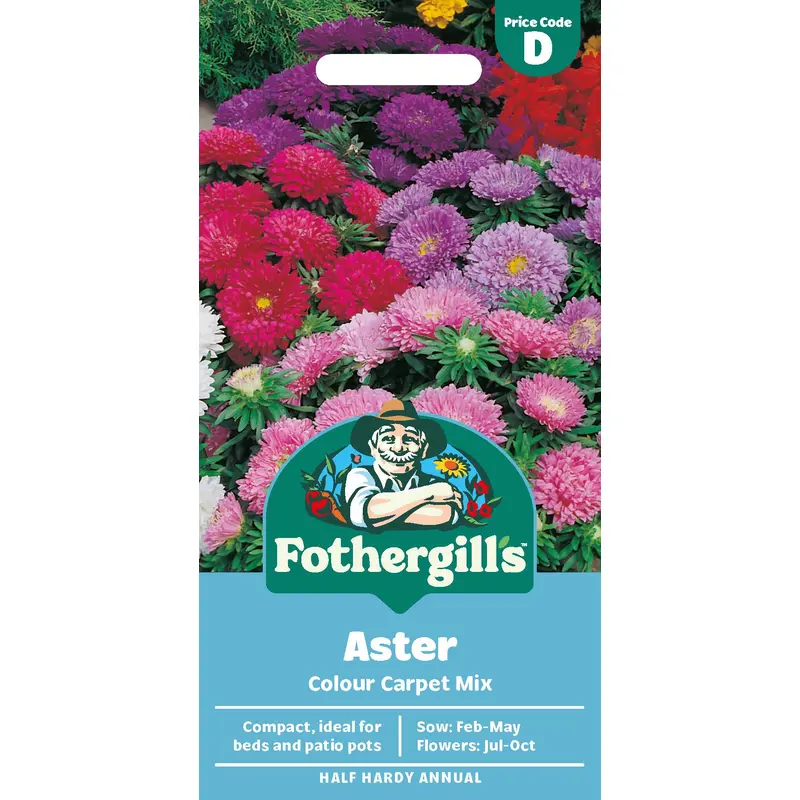 Fothergills Aster Colour Carpet Mix Seeds
