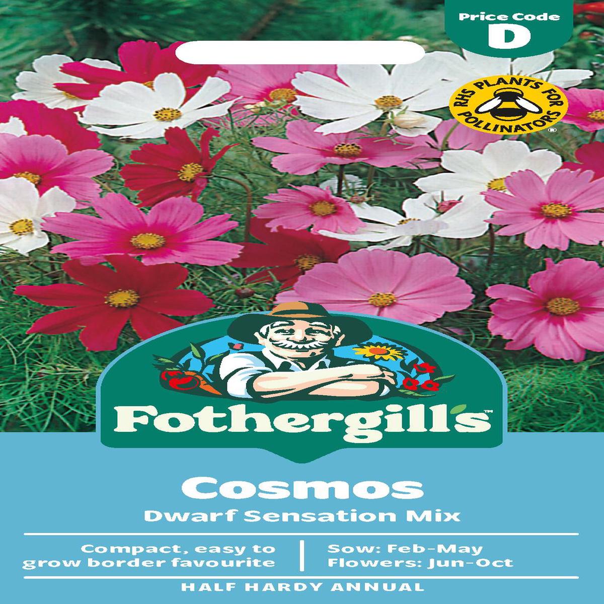 Fothergills Cosmos Dwarf Sensation Mix Seeds