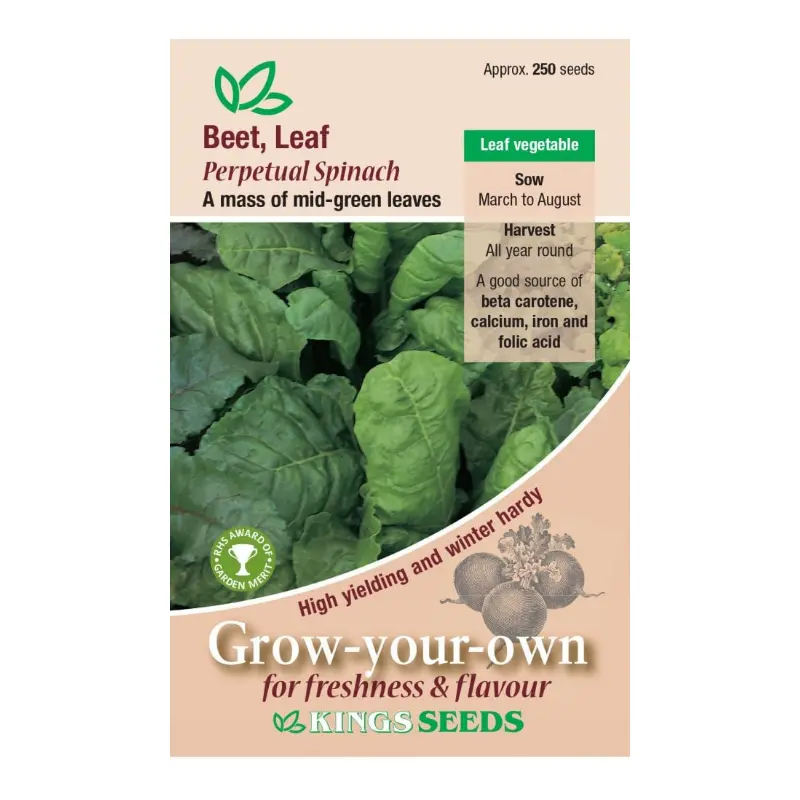 Kings Seeds Beet leaf Perpetual Spinach 250 Seeds