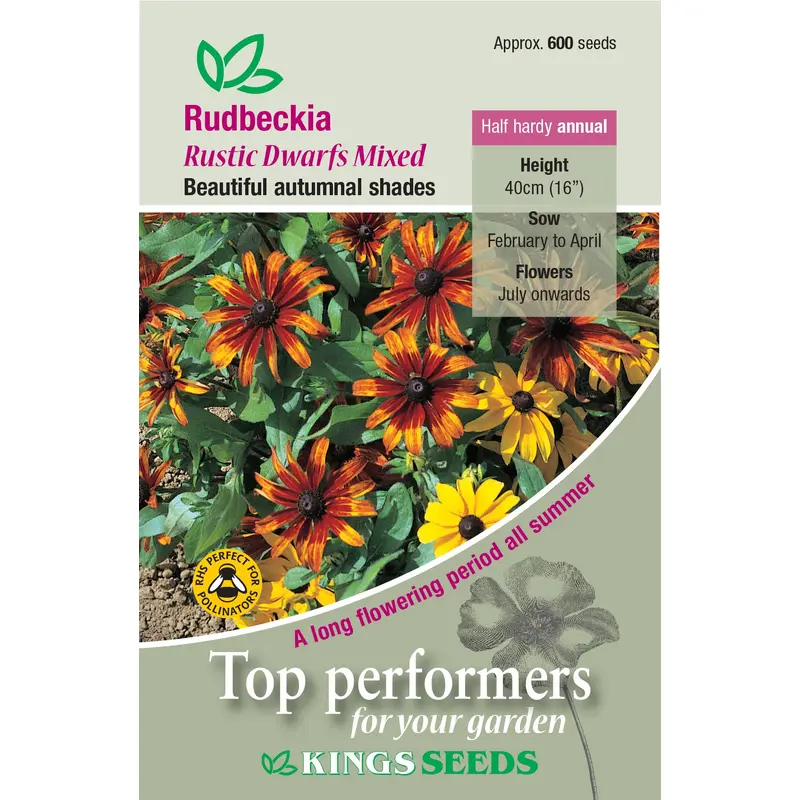 Kings Seeds Rudbeckia Rustic Dwarfs Mixed 600 Seeds