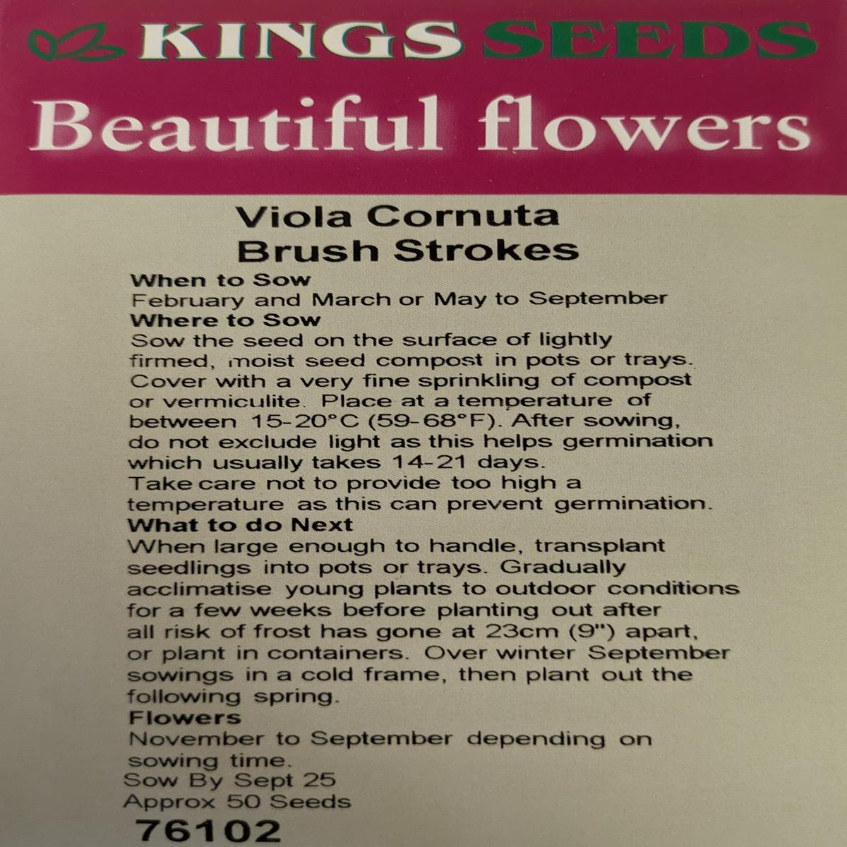 Kings Seeds Viola Brush Strokes 50 Seed