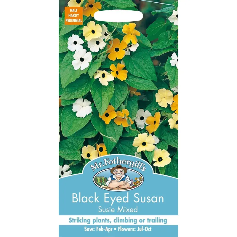 Mr Fothergills Black Eyed Susan Susie mixed 20 Seeds
