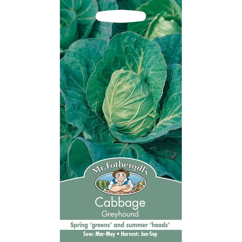 Mr Fothergills Cabbage Greyhound 500 Seeds
