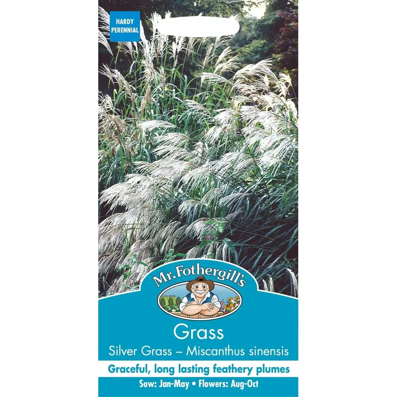Mr Fothergills Grass Silver Grass Miscanthus Early Hybrids 75 Seeds