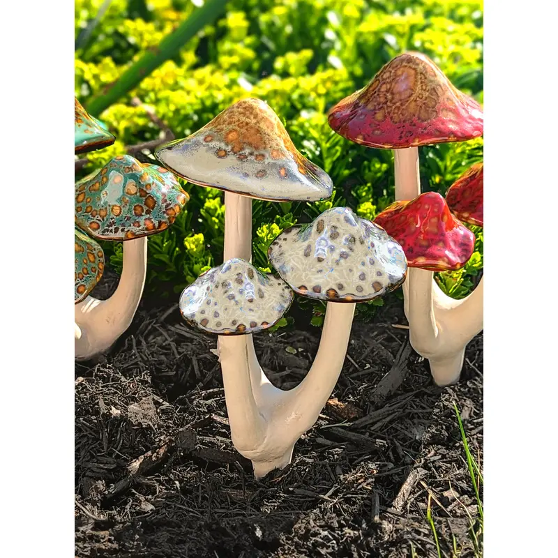 Mushroom Trios - Natural