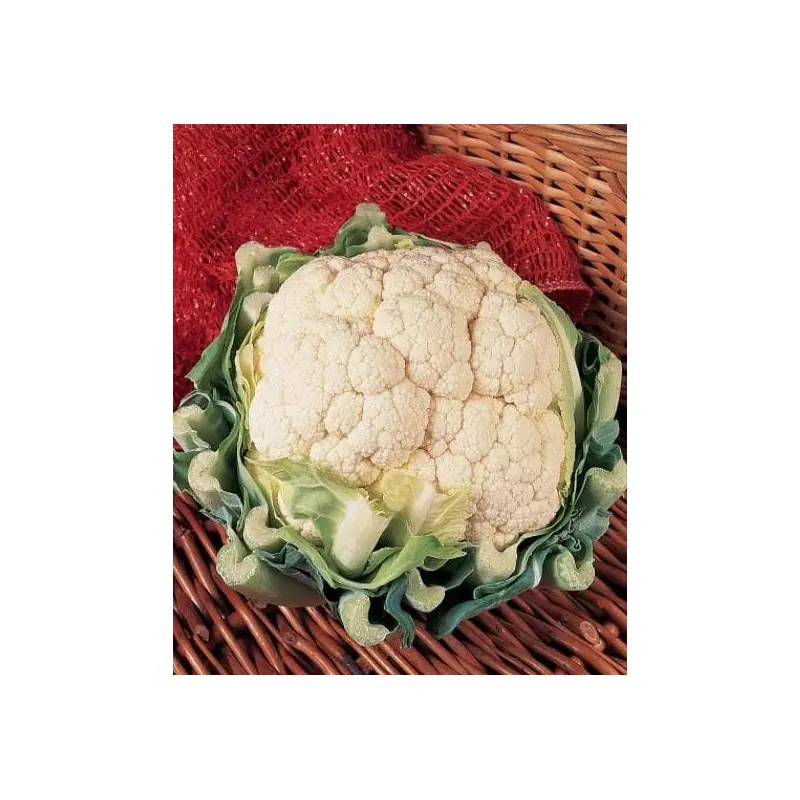 Organic Cauliflower Belot F1 Hybrid Seeds