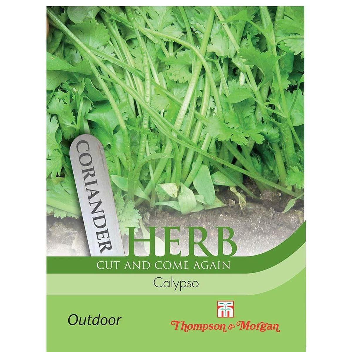 Thompson & Morgan Coriander Calypso 150 Seed