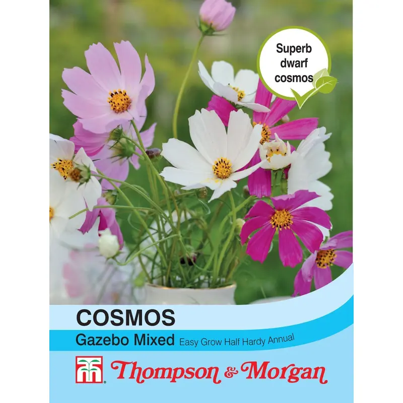 Thompson & Morgan Cosmos Gazebo Mixture 100 Seed