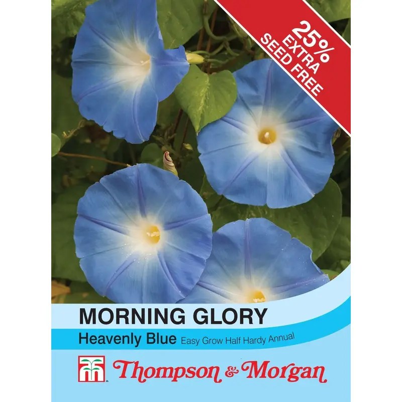 Thompson & Morgan Morning Glory Heavenly Blue (Ipomoea) 50 Seed