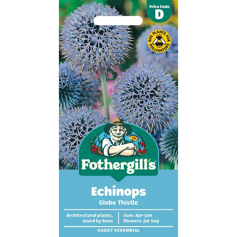 Fothergills Echinops Globe Thistle Seeds