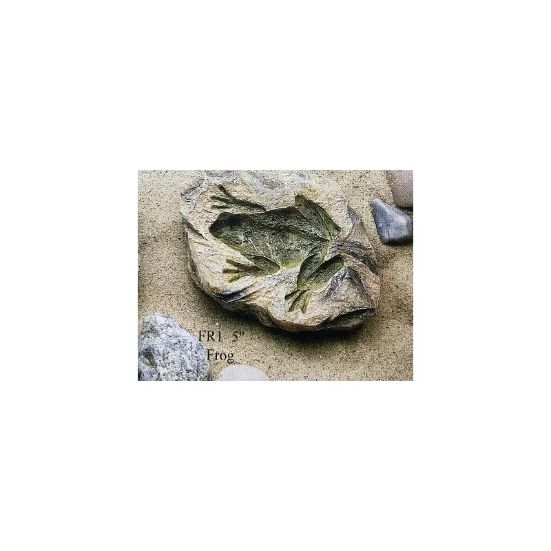 Frog Fossil Rock