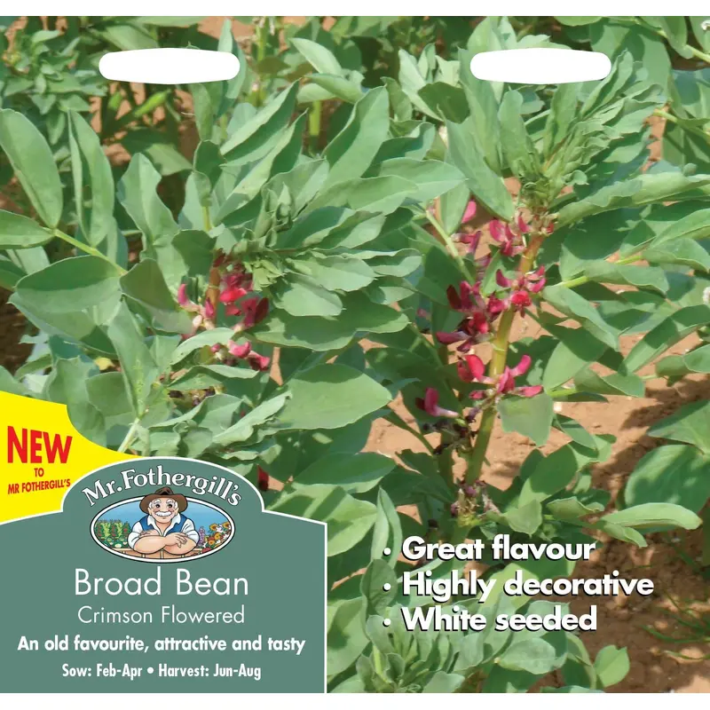 Mr Fothergills Broad Bean Crimson Flowered 50 Seeds