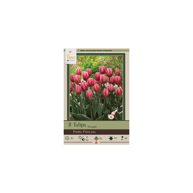 Netherland Bulb Co. Tulip, Pretty Princess Bulbs