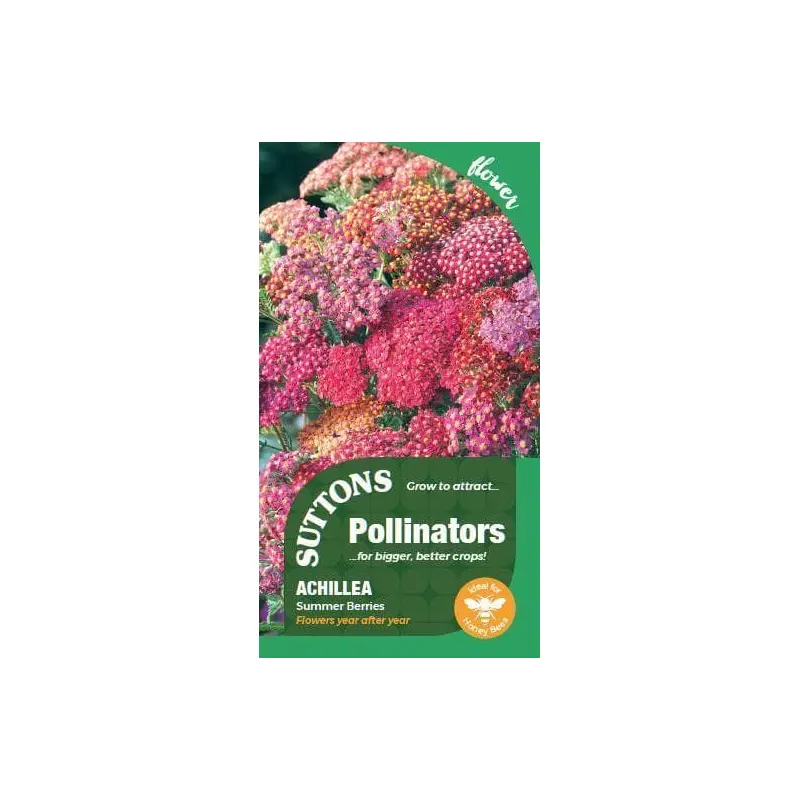Sutton Seeds - Pollinators and Predators - Achillea Summer Berries