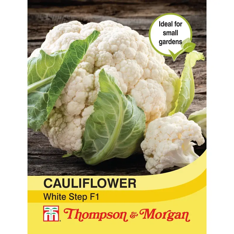 Thompson & Morgan Cauliflower White Step Seed
