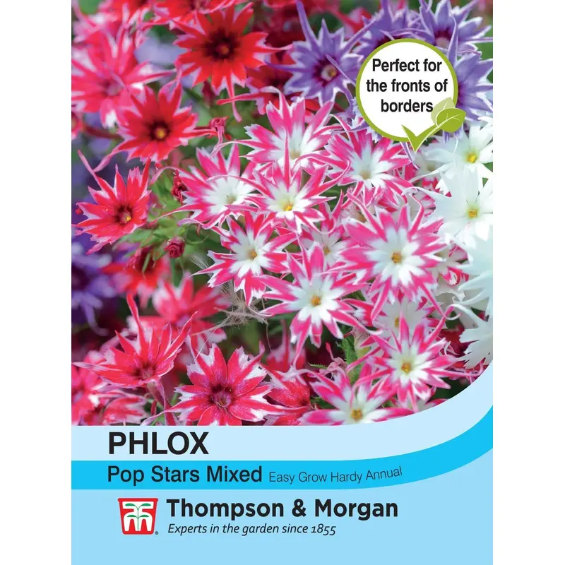 Thompson & Morgan - Flower - Phlox - Popstars - 10 Seeds