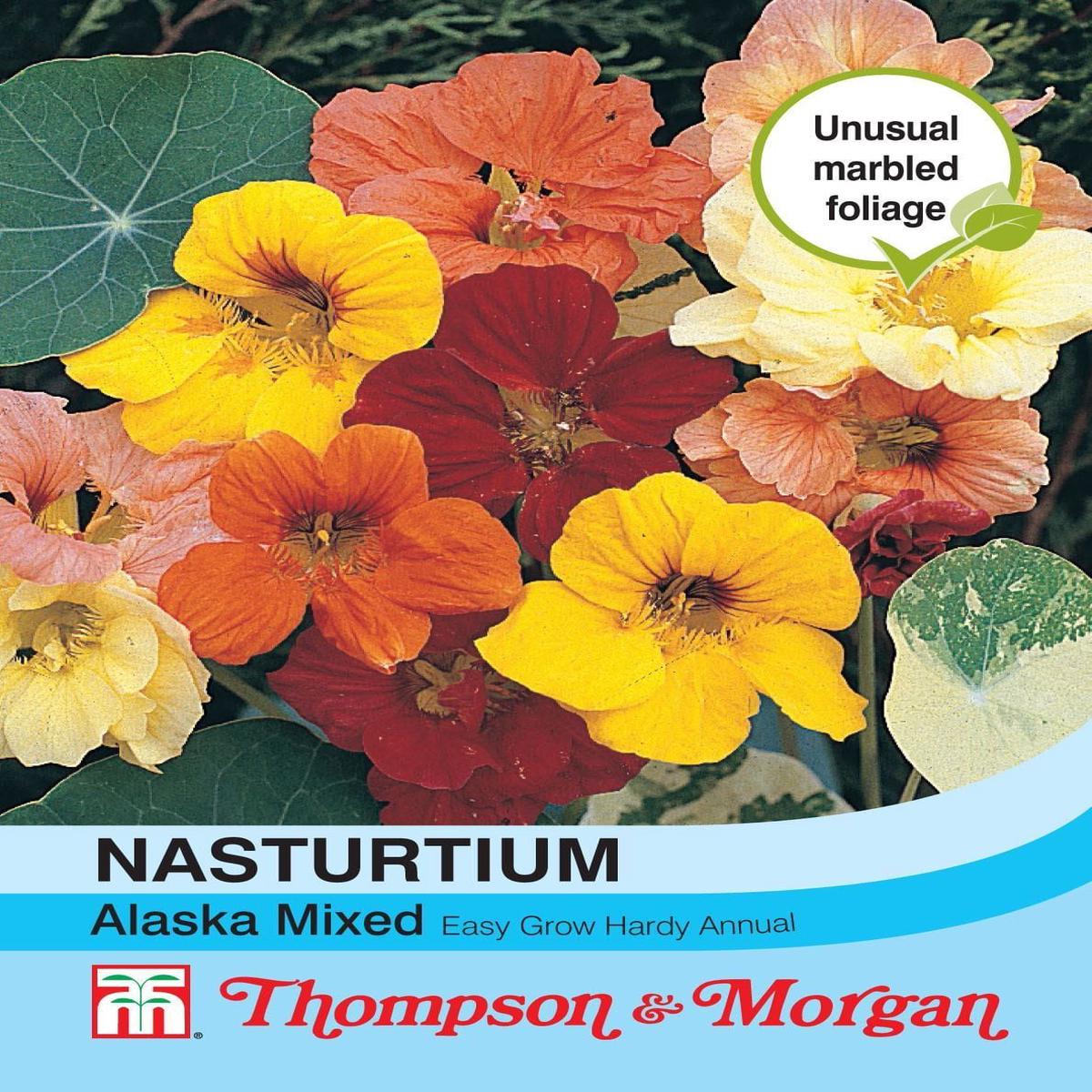 Thompson & Morgan Nasturtium Alaska Mixed 30 Seed