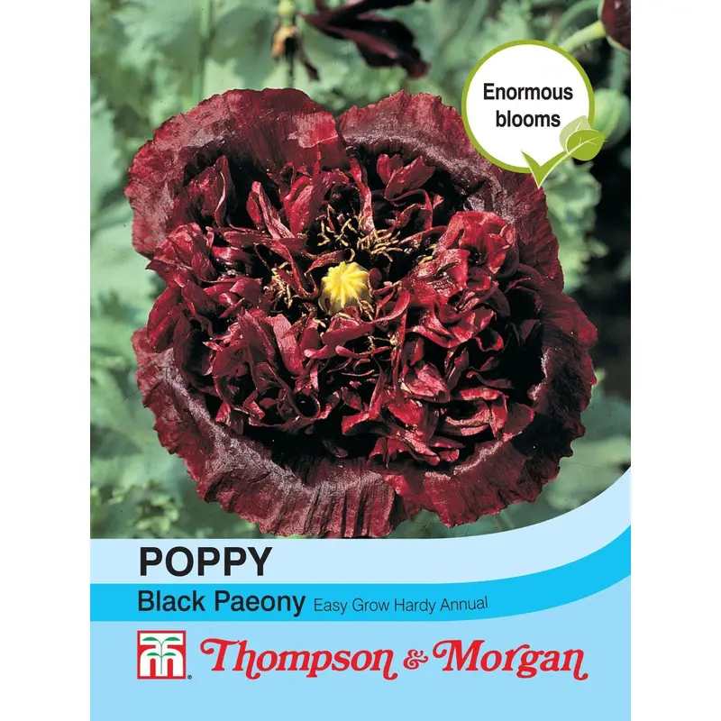 Thompson & Morgan Poppy Black Paeony 500 Seed