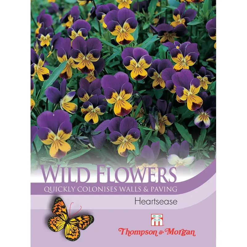 Thompson & Morgan Wild Flower Heartsease 75 Seed