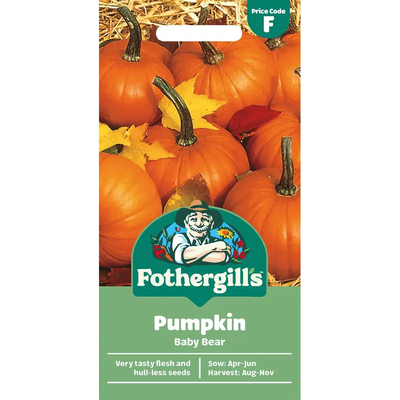 Fothergills Pumpkin Baby Bear Seeds
