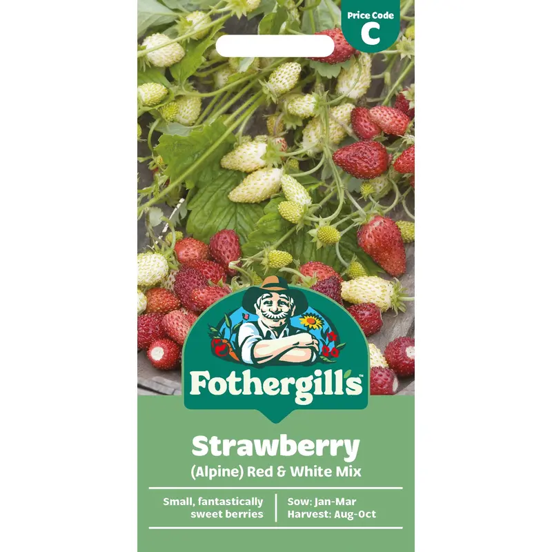Fothergills Strawberry Alpine Red & White Mix Seeds