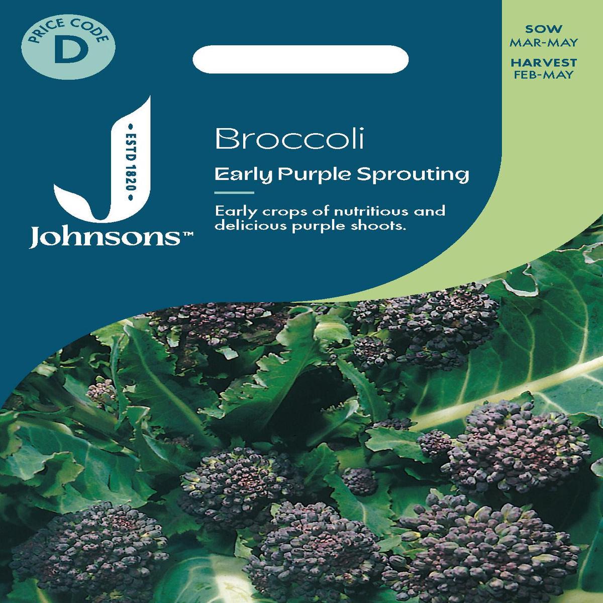 Johnsons - Broccoli Early Purple Sp - 300 Seeds