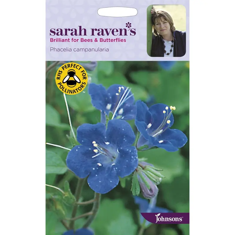 Johnsons Sarah Raven's Phacelia Campanularia 500 Seeds
