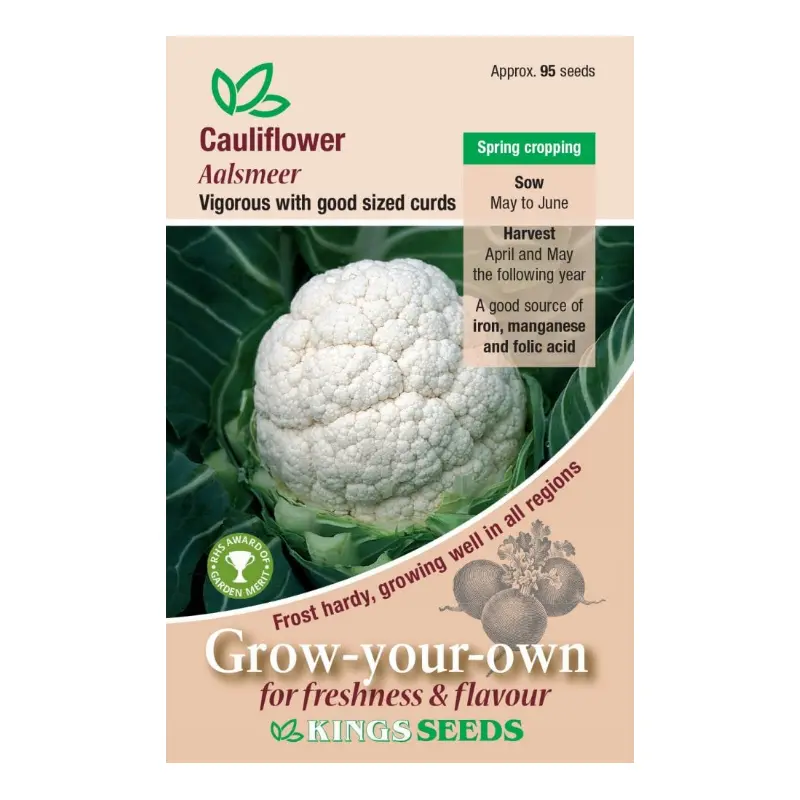 Kings Seeds Cauliflower Aalsmeer 95 Seeds