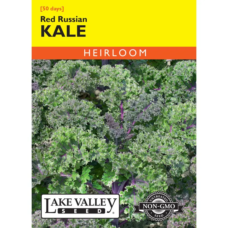 Lake Valley, Kale, Red Russian