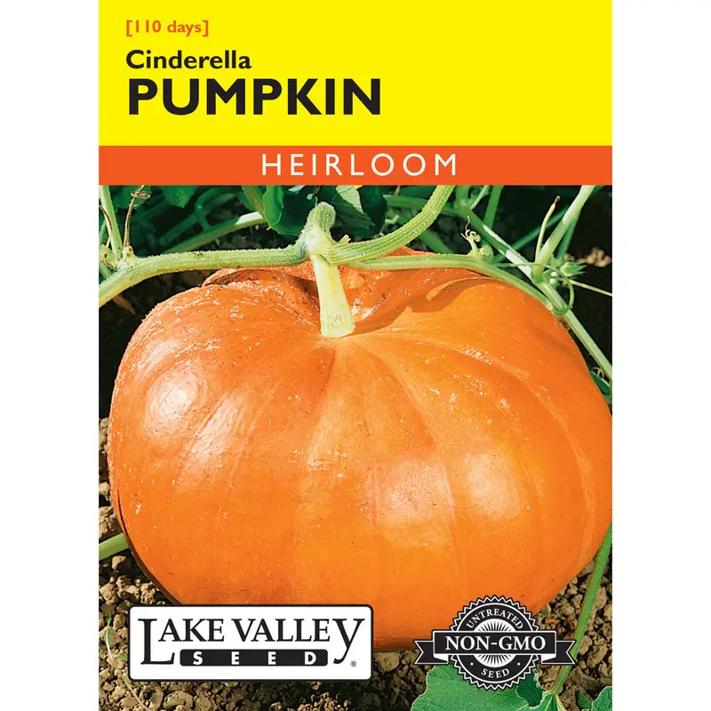 Lake Valley, Pumpkin, Cinderella