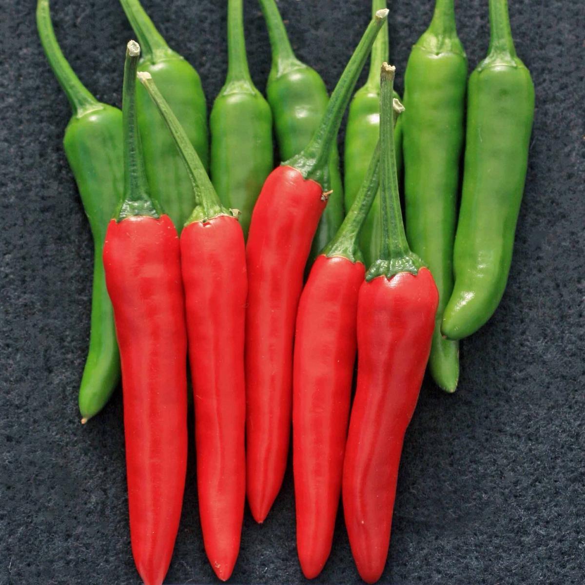 Pepper (Chilli) Pelita Seeds