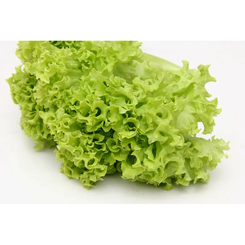 Suffolk Herbs Organic Lettuce Salad Bowl 450 Seeds