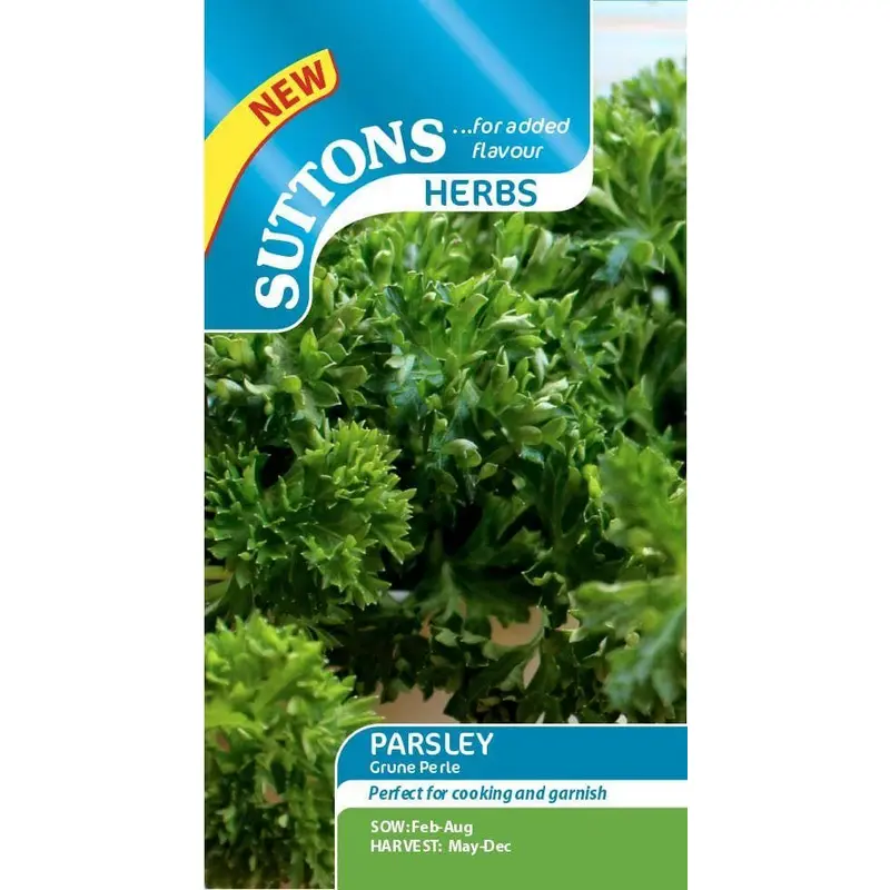 Sutton Seeds - Parsley Seeds - Grune Perle