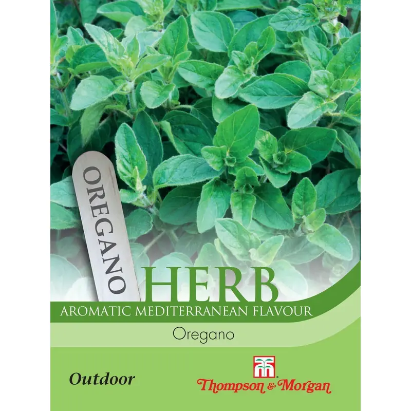 Thompson & Morgan Oregano 1500 Seed