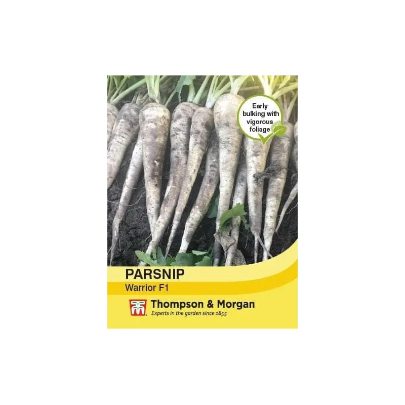 Thompson & Morgan Parsnip Warrior F1 Hybrid 250 seed