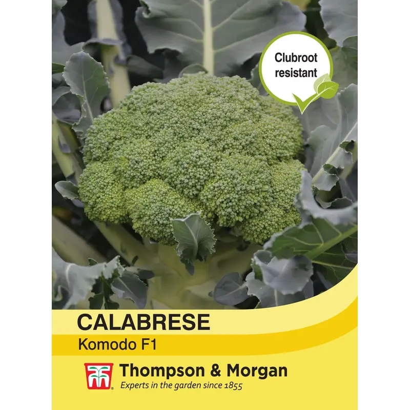 Thompson & Morgan - Vegetable - Calabrese - Komodo - 30 Seeds