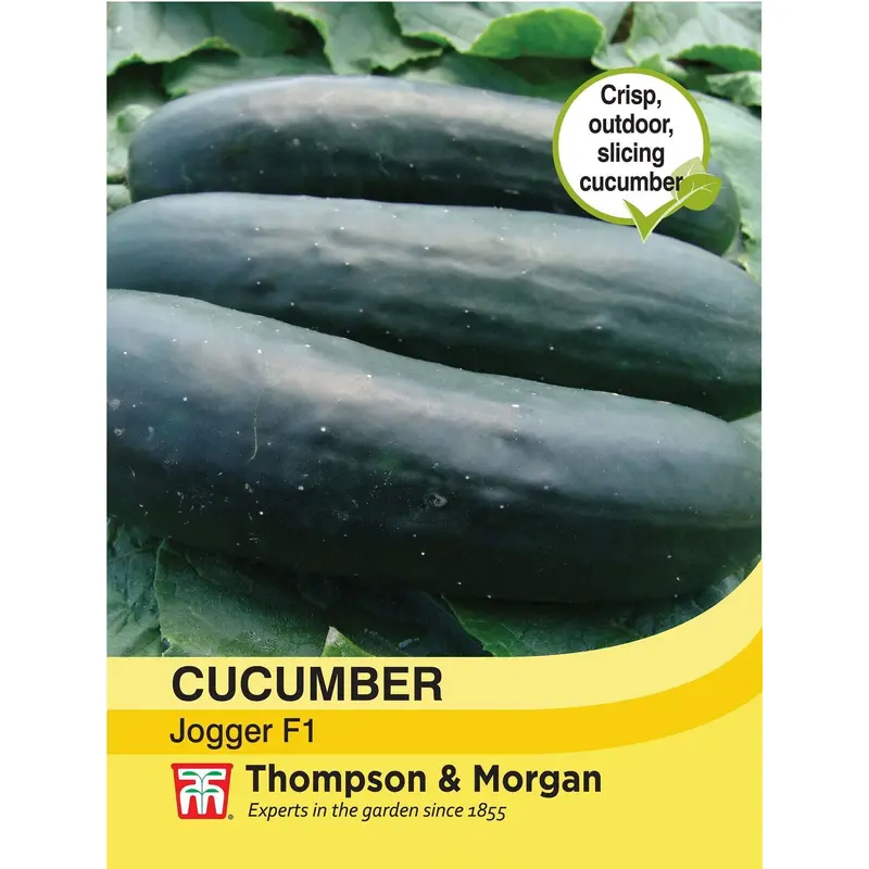 Thompson & Morgan - Vegetable - Cucumber - Jogger F1 Hybrid - 10 Seeds