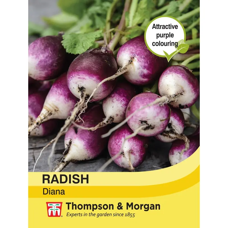 Thompson & Morgan - Vegetable - Radish - Diana - 350 Seeds