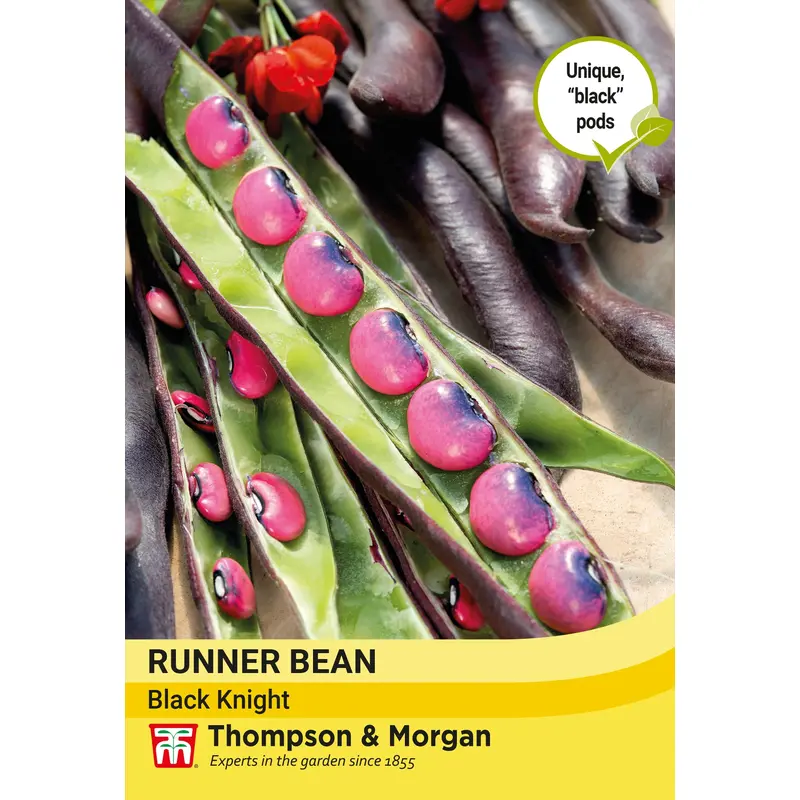 Thompson & Morgan Vegetable Runner Bean Black Knight - 20 Seeds