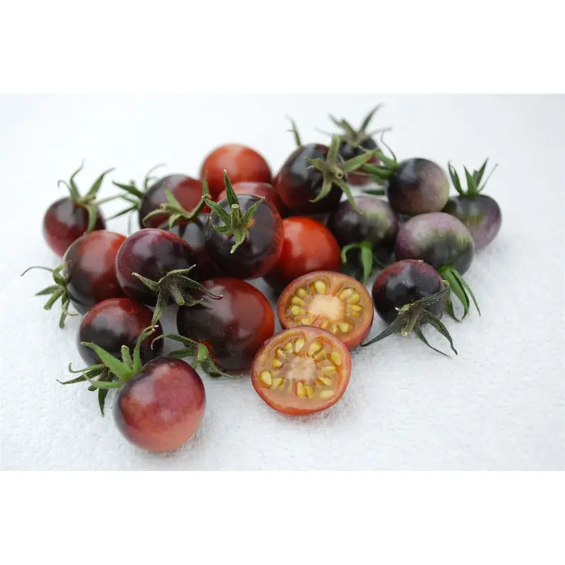 Tomato Indigo Blue Berries Seeds