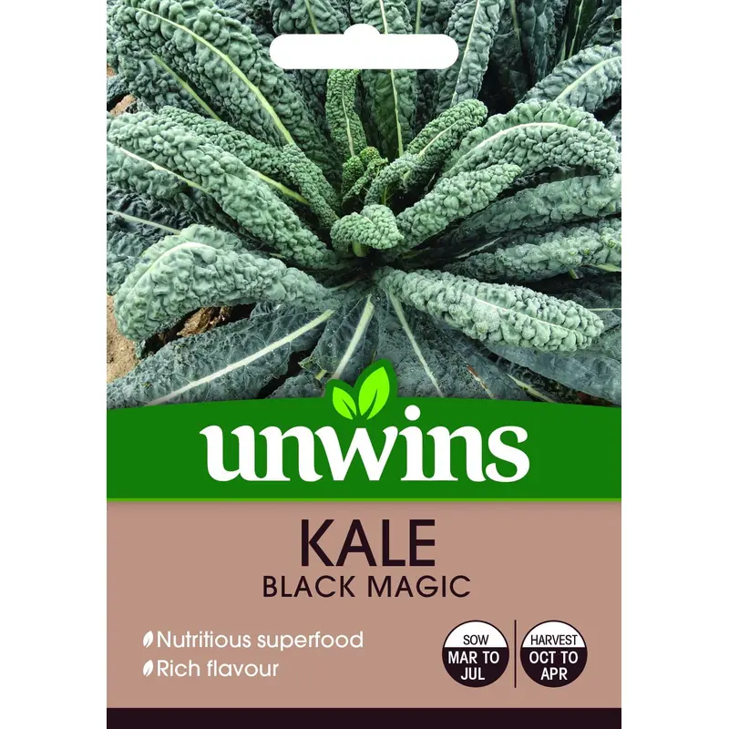 Unwins Kale Black Magic 50 Seeds
