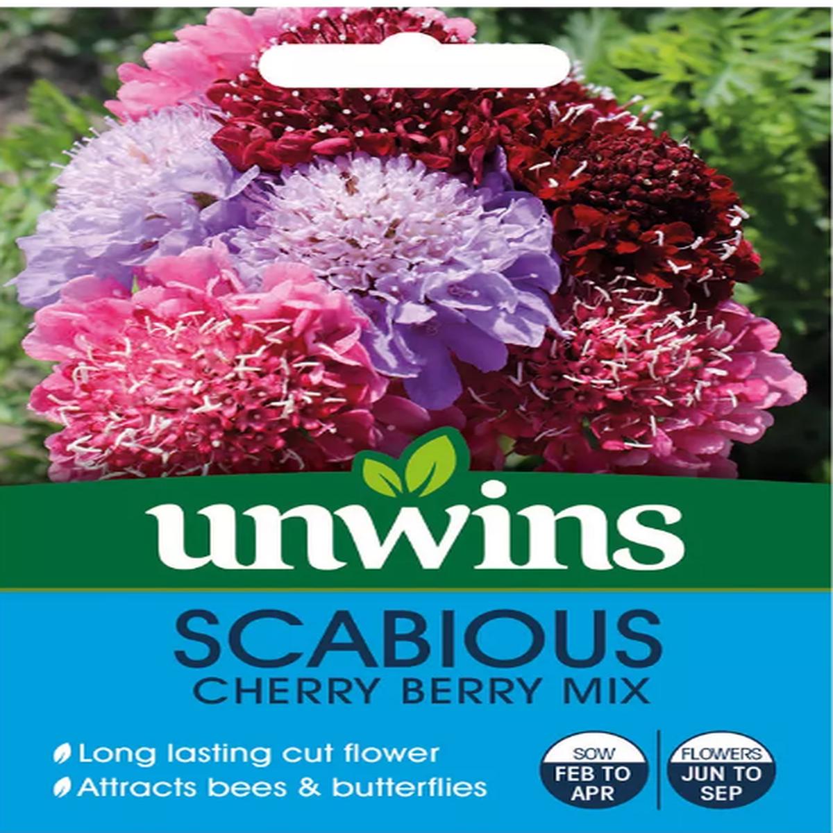 Unwins Scabiosa Cherry Berry Mix 50 Seeds