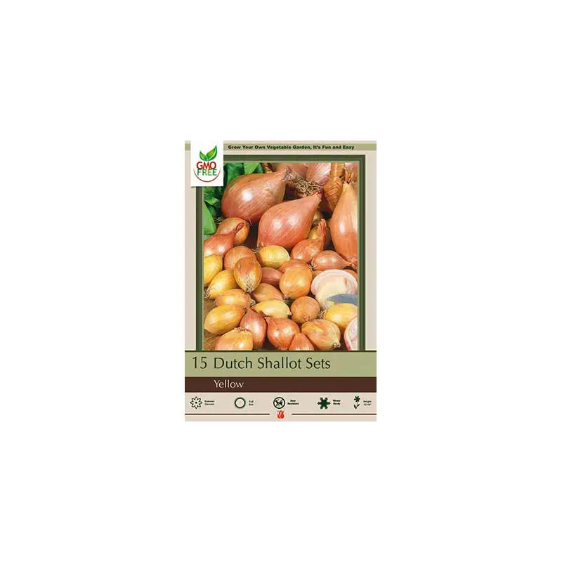 Dutch Shallot Sets, Shallot Allium 'Yellow Shallots'