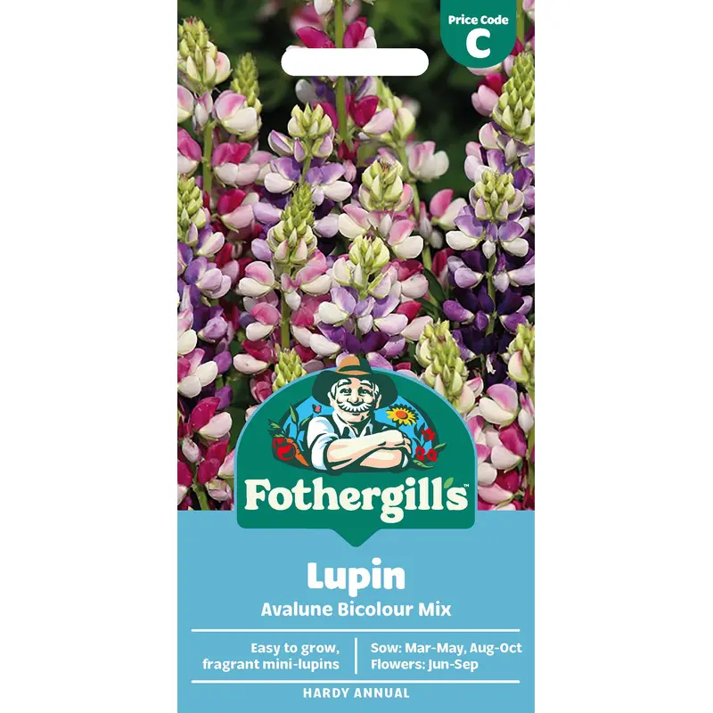 Fothergills Lupin Avalune Bicolour Mix Seeds